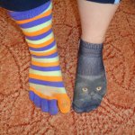 phoca_thumb_m_ponokov den  6 zajci  kopie Fotogalerie